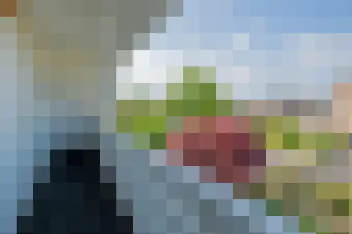 Breekamp 8 Beilen thumbnail 31