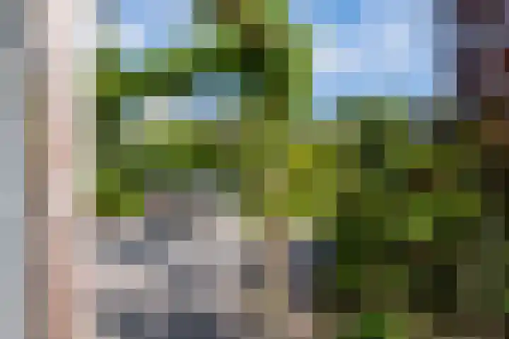 Breekamp 8 Beilen thumbnail 35