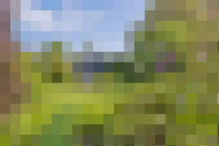 Breekamp 8 Beilen thumbnail 39
