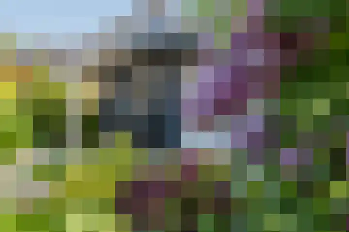 Breekamp 8 Beilen thumbnail 41