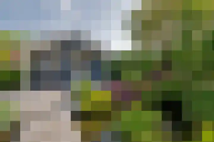 Breekamp 8 Beilen thumbnail 43