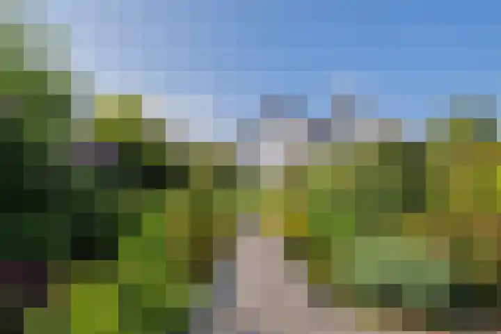 Breekamp 8 Beilen thumbnail 45