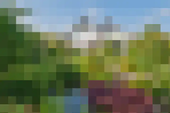 Breekamp 8 Beilen thumbnail 46