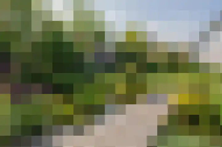 Breekamp 8 Beilen thumbnail 47