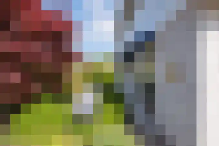 Breekamp 8 Beilen thumbnail 50