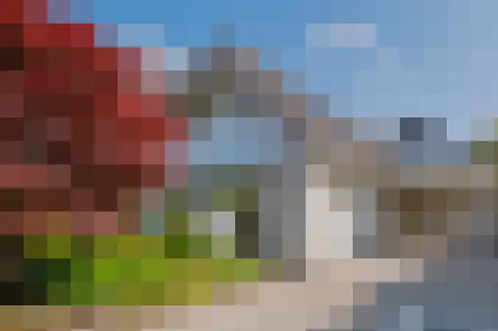 Breekamp 8 Beilen thumbnail 51