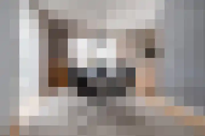 Breekamp 8 Beilen thumbnail 8