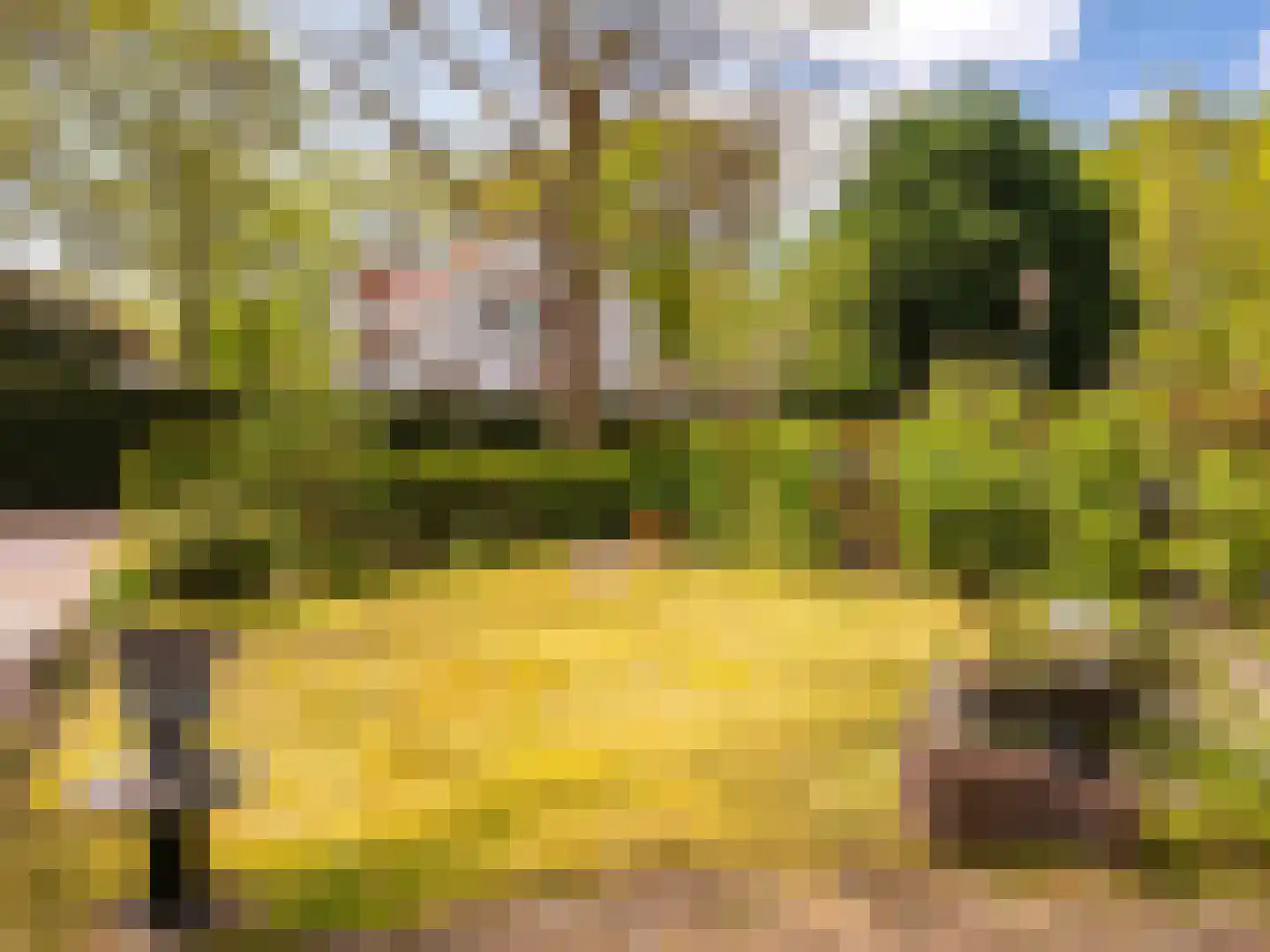 Breelaan 46 Bergen (NH) thumbnail 31