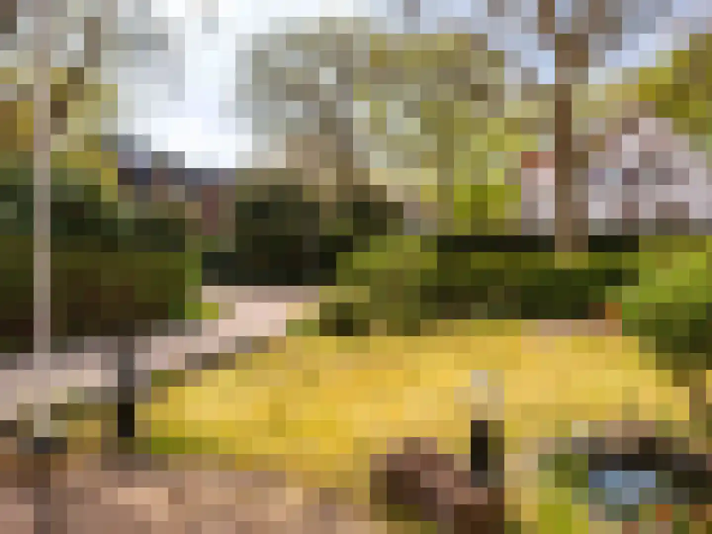 Breelaan 46 Bergen (NH) thumbnail 4