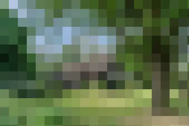 Breelaan 8 Oudorp thumbnail 14