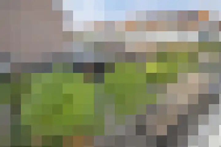 Breelaan 8 Oudorp thumbnail 17
