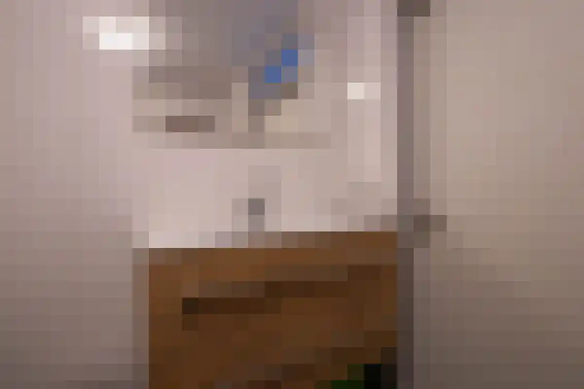Breelaan 8 Oudorp thumbnail 28