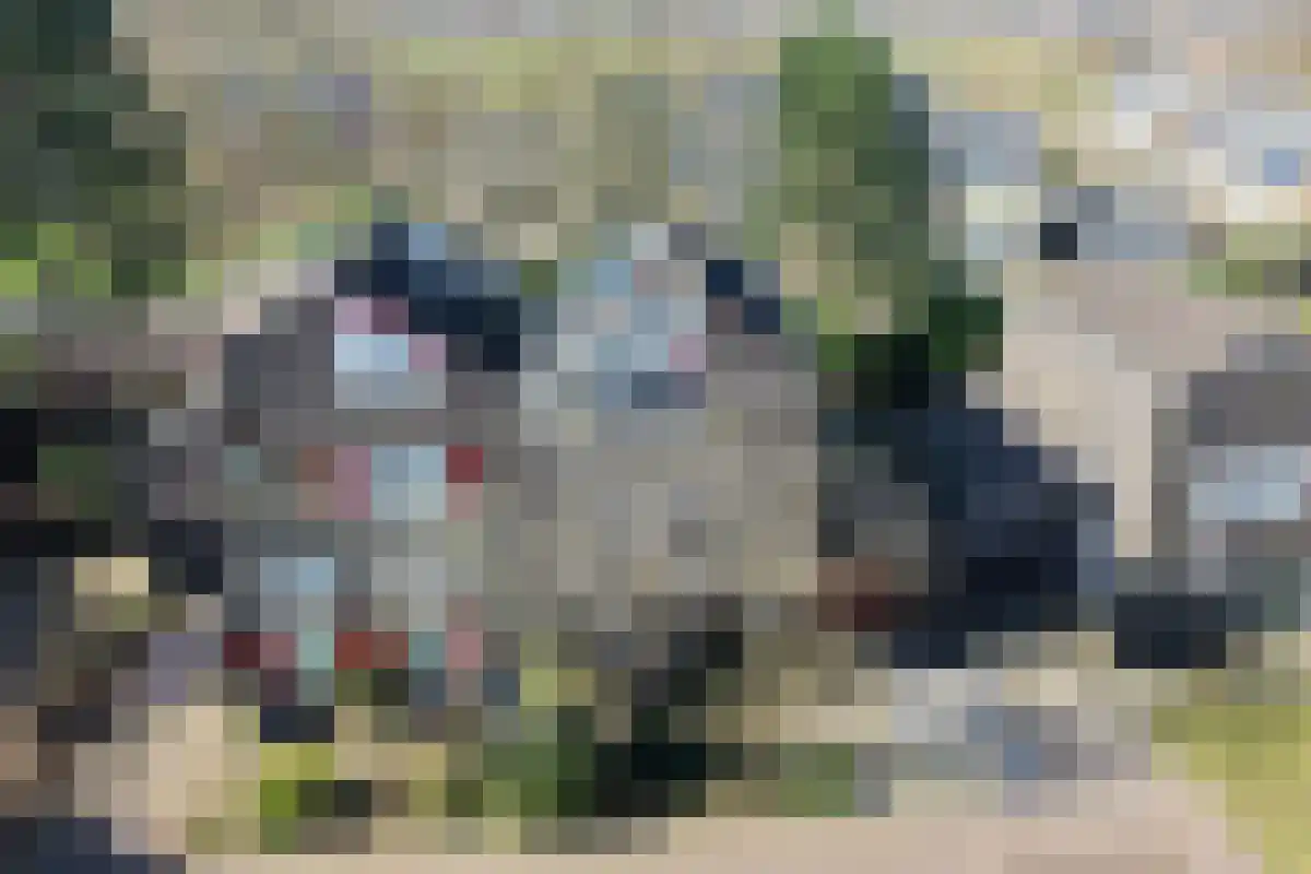Breelaan 8 Oudorp thumbnail 42