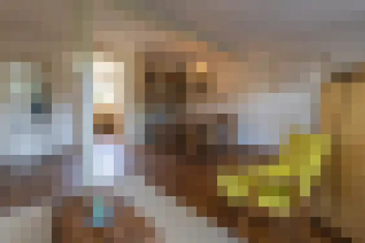 Breelaan 8 Oudorp thumbnail 5