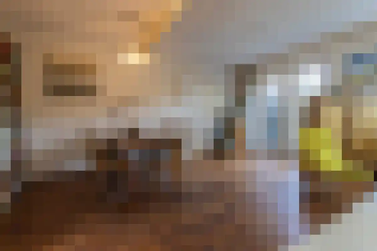 Breelaan 8 Oudorp thumbnail 7