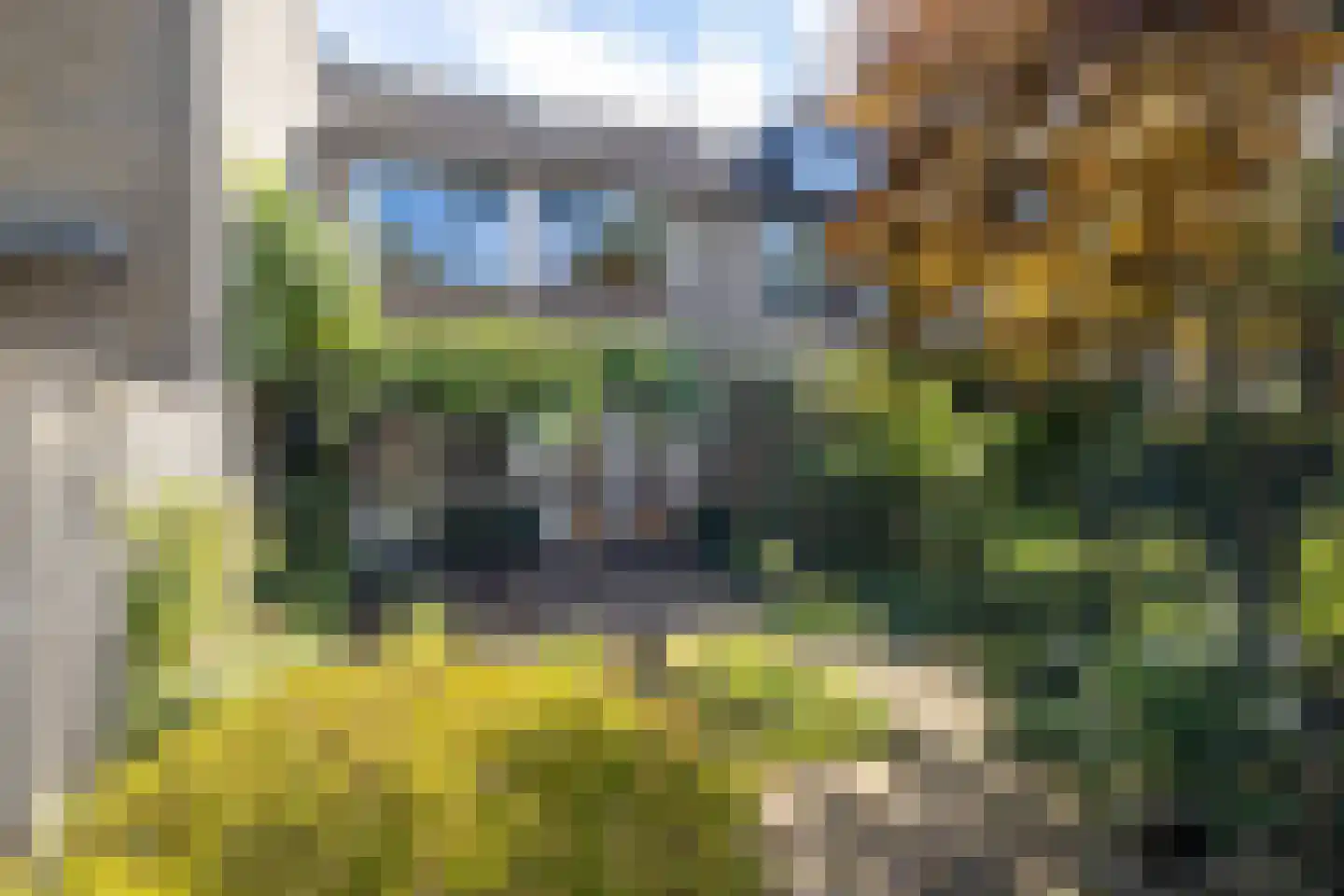 Breeland 34 Hoogland thumbnail 28