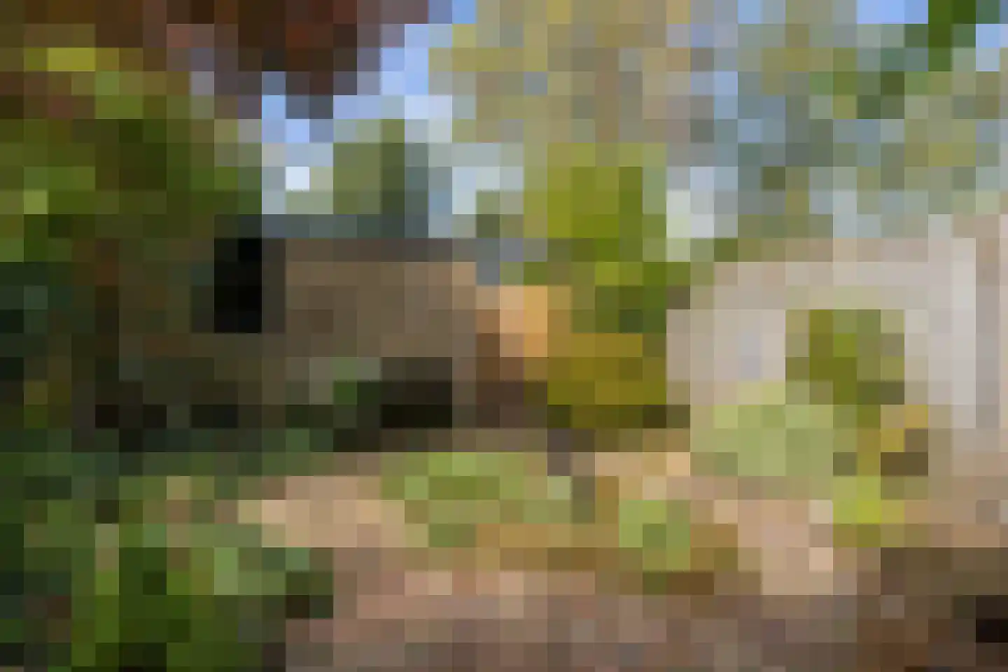 Breeland 34 Hoogland thumbnail 30