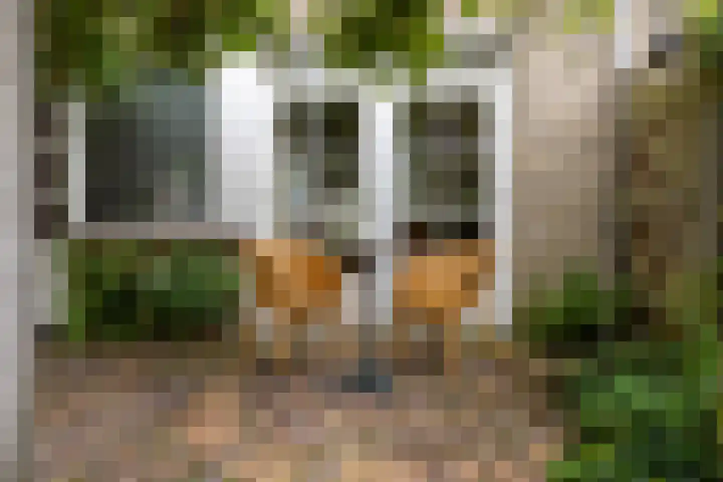 Breeland 34 Hoogland thumbnail 31