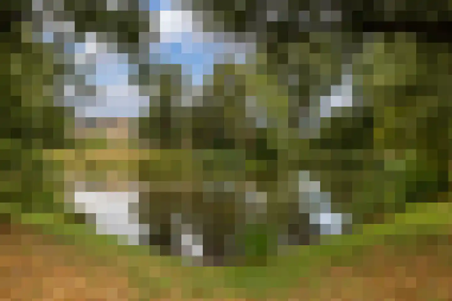 Breeland 34 Hoogland thumbnail 37