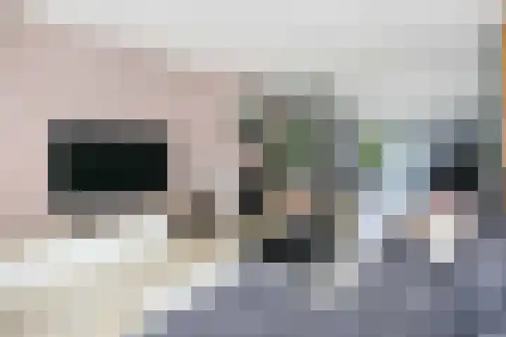 Breeland 61 Hoogland thumbnail 12