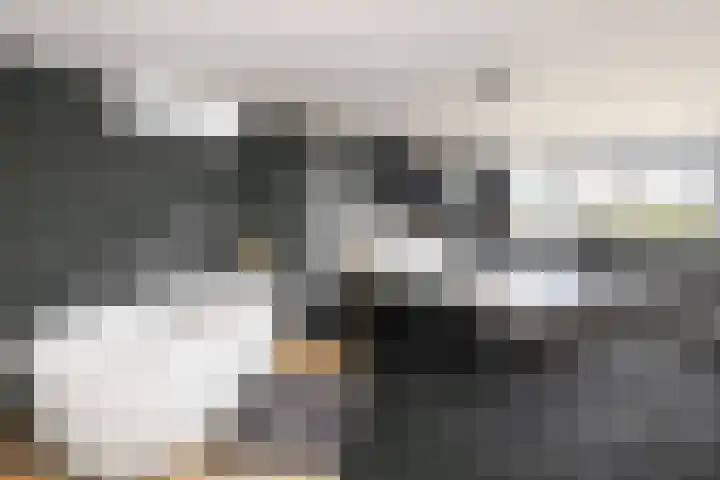 Breeland 61 Hoogland thumbnail 27