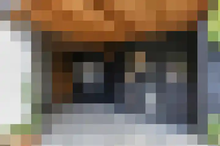 Breeland 61 Hoogland thumbnail 36