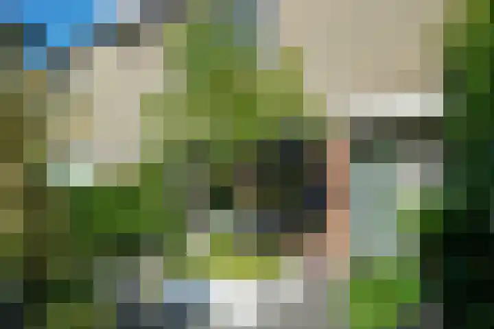 Breeland 61 Hoogland thumbnail 37