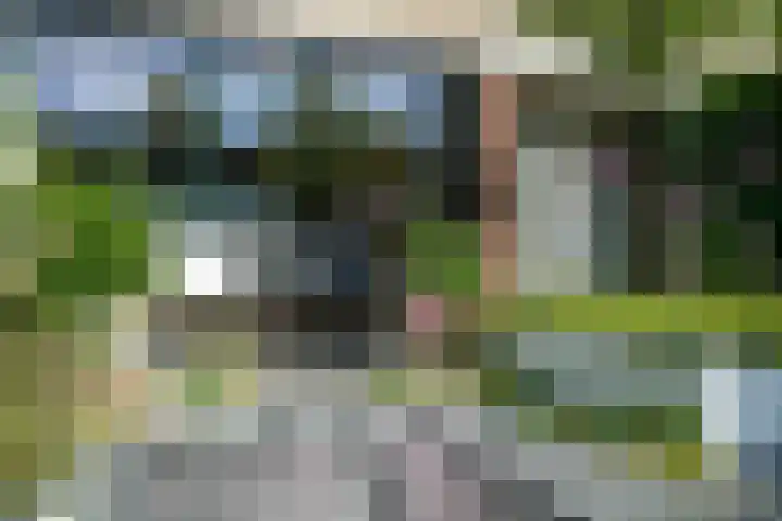 Breeland 61 Hoogland thumbnail 38