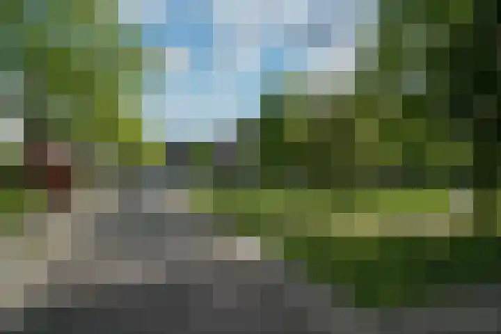 Breeland 61 Hoogland thumbnail 42