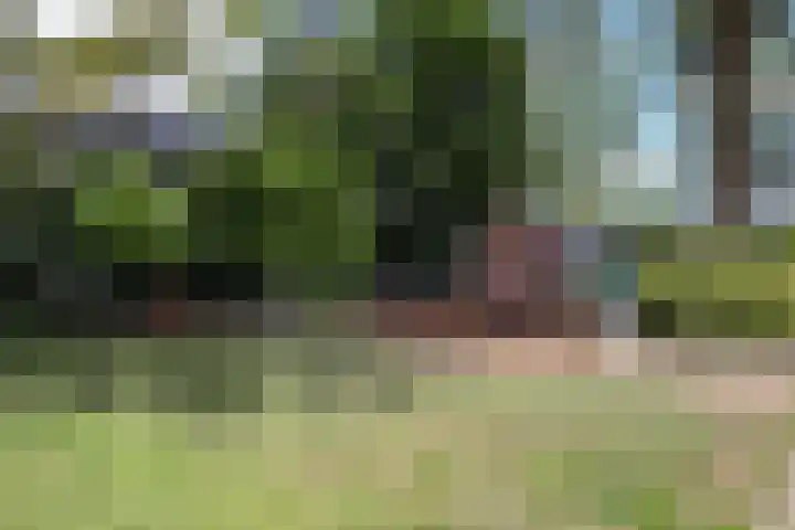 Breeland 61 Hoogland thumbnail 44