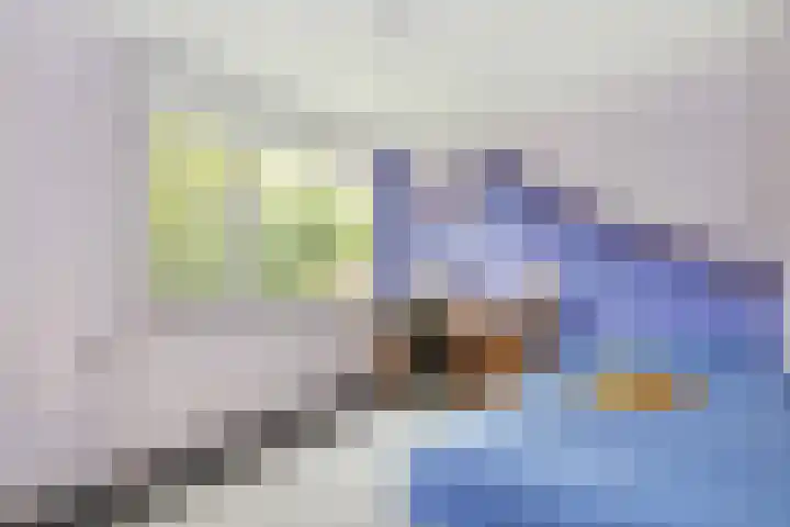 Breeland 65 Hoogland thumbnail 25