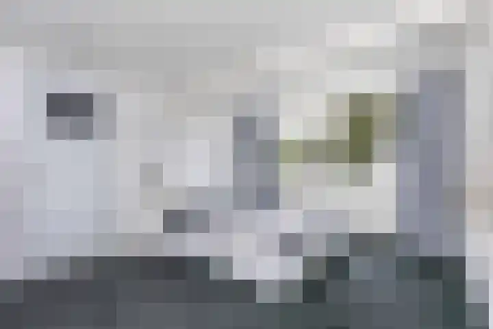 Breeland 65 Hoogland thumbnail 32