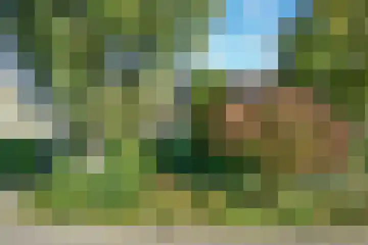 Breeland 65 Hoogland thumbnail 33