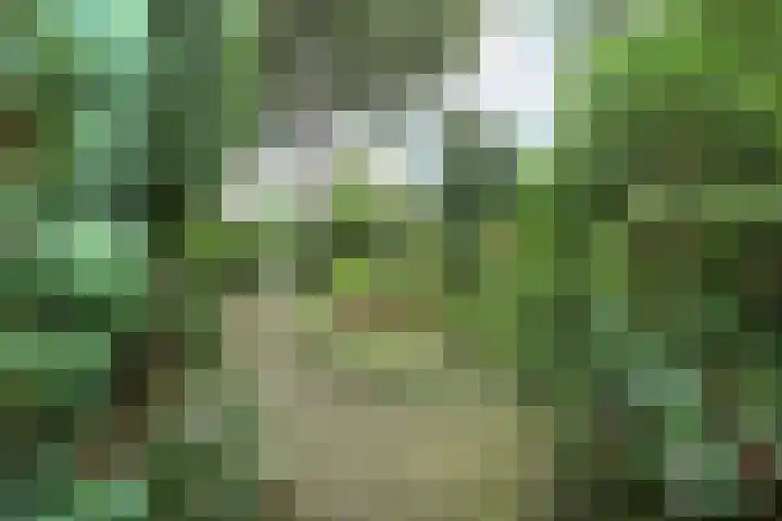 Breeland 65 Hoogland thumbnail 35