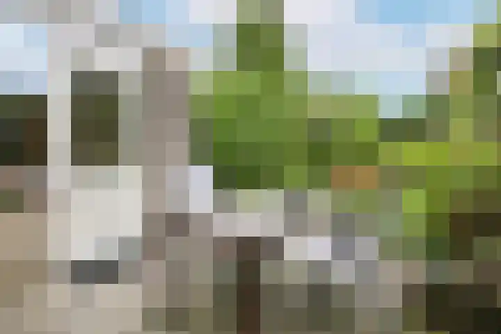 Breeland 65 Hoogland thumbnail 36