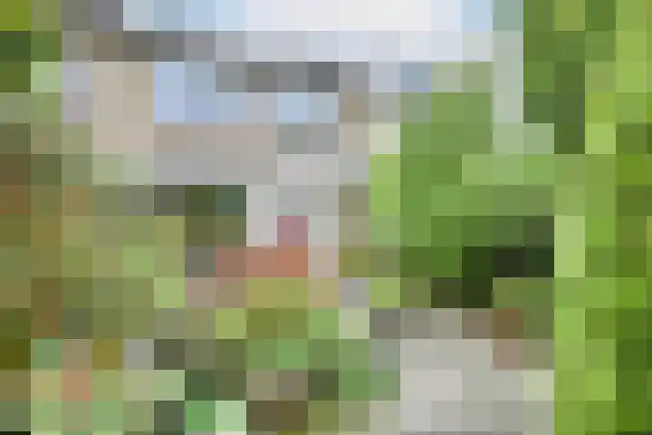 Breeland 65 Hoogland thumbnail 38