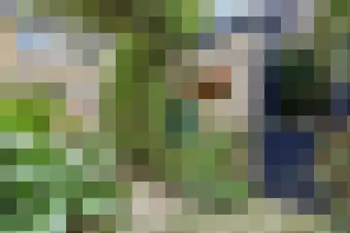 Breeland 65 Hoogland thumbnail 39