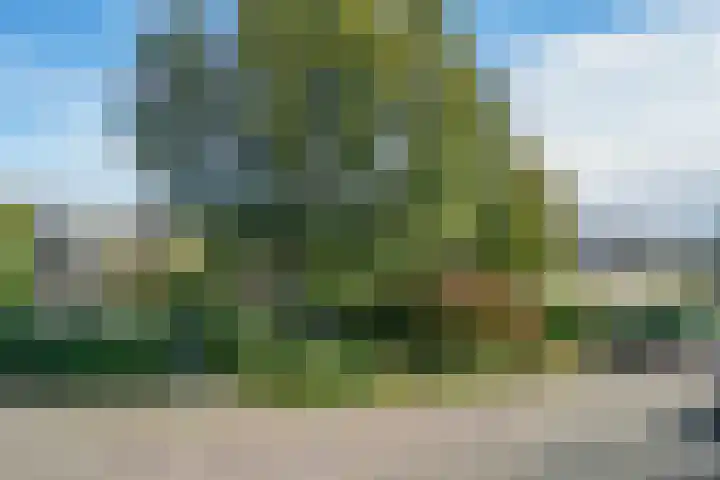 Breeland 65 Hoogland thumbnail 40