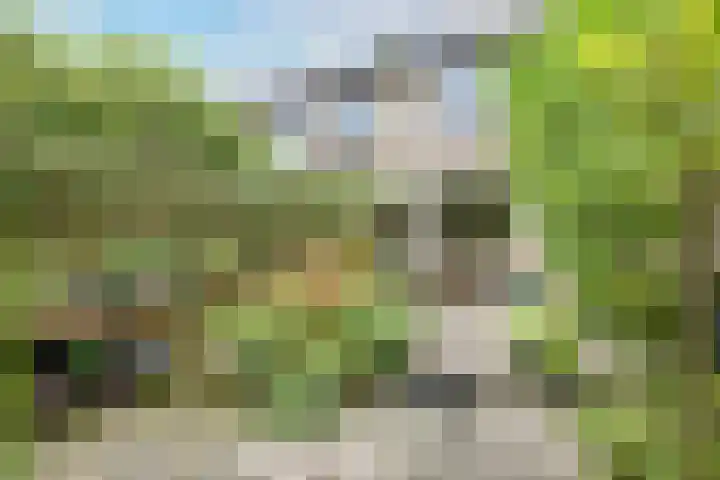 Breeland 65 Hoogland thumbnail 5