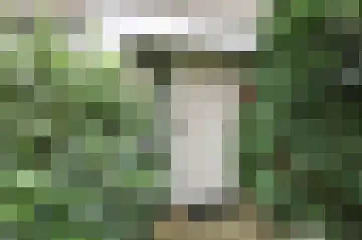 Breeland 65 Hoogland thumbnail 6
