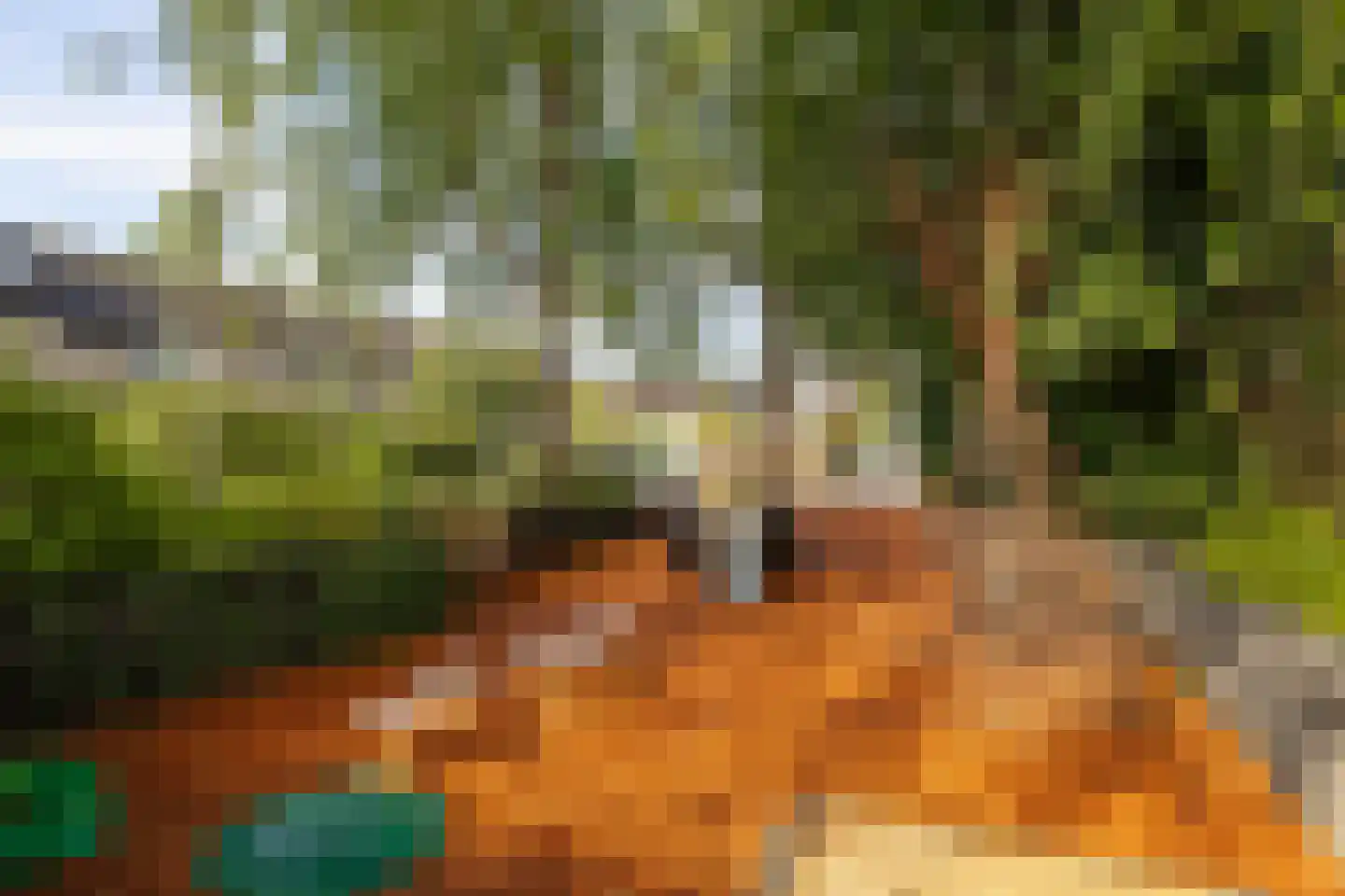 Breeland 98 Hoogland thumbnail 39