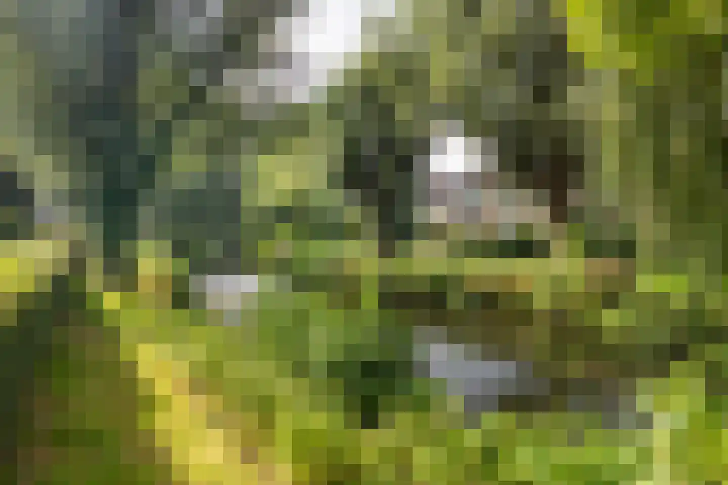 Breeland 98 Hoogland thumbnail 40