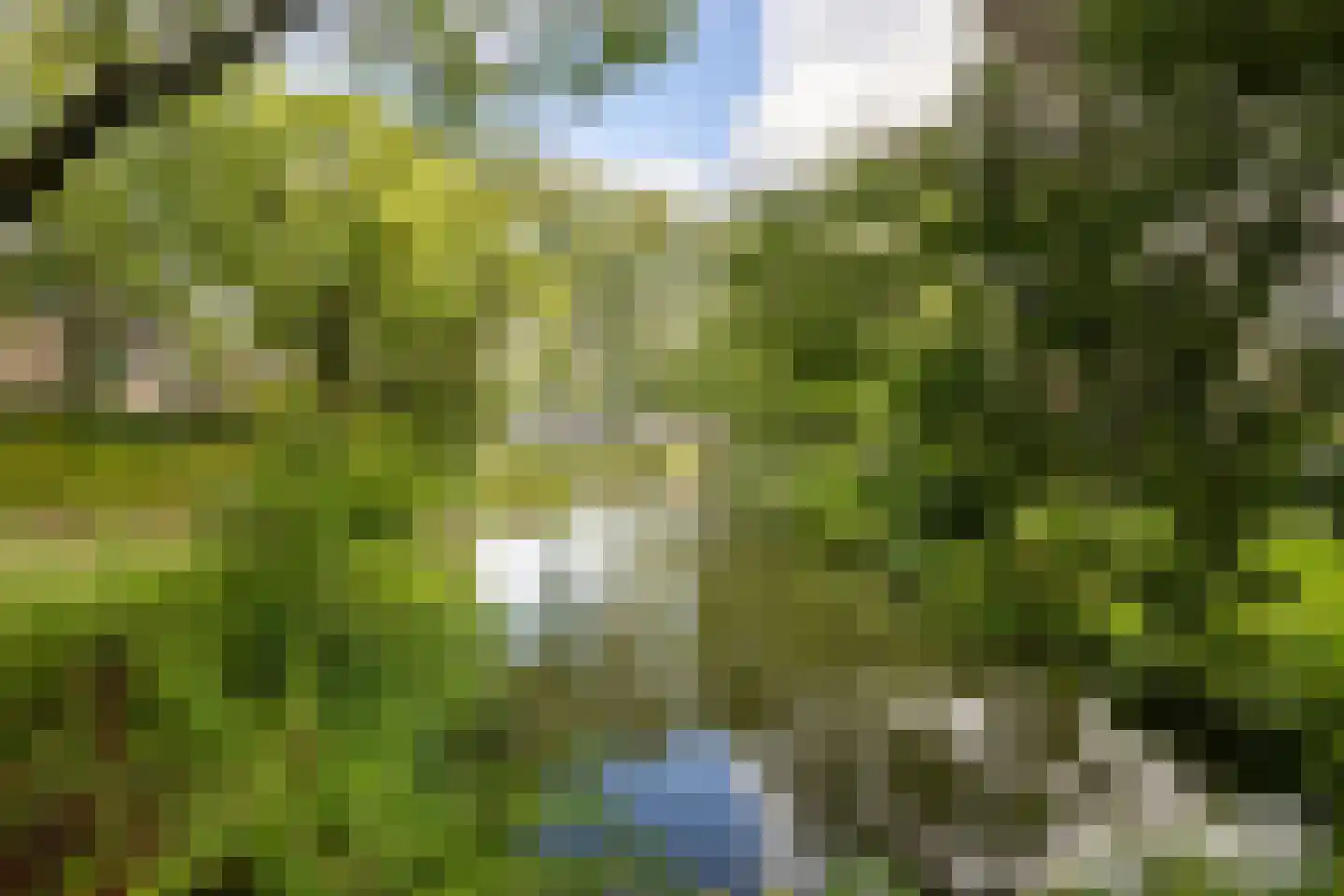 Breeland 98 Hoogland thumbnail 41