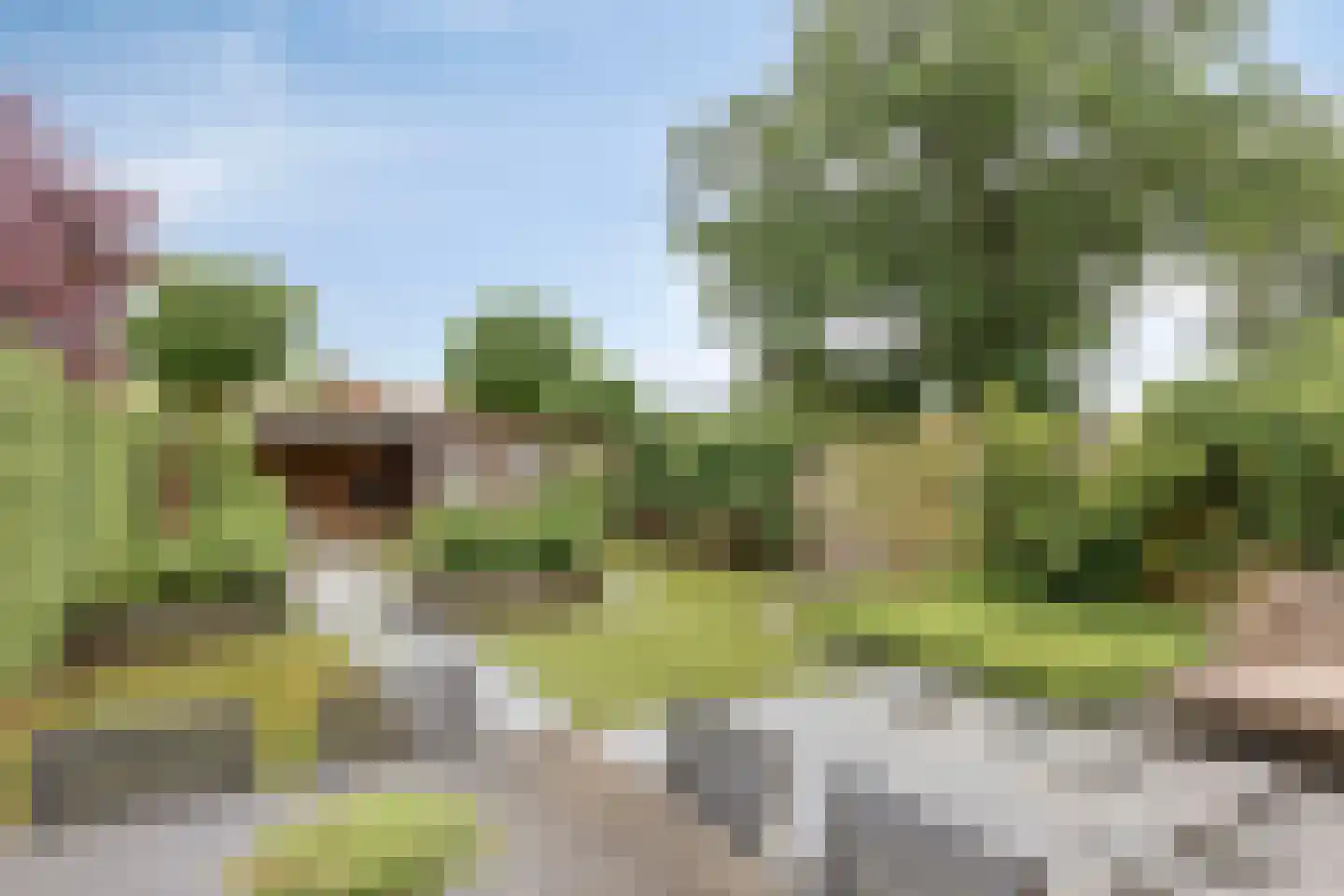 Breelandhof 13 Hoogland thumbnail 33