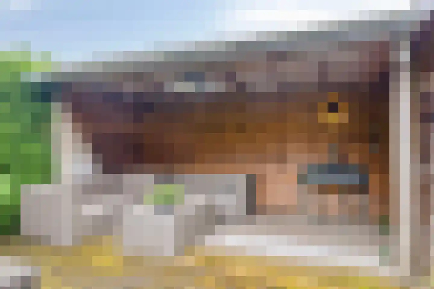 Breelandhof 13 Hoogland thumbnail 37