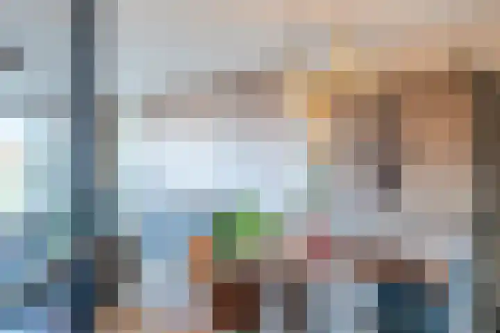 Breelantsoort 4 Broek op Langedijk thumbnail 13