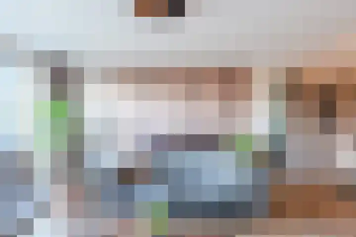 Breelantsoort 4 Broek op Langedijk thumbnail 19
