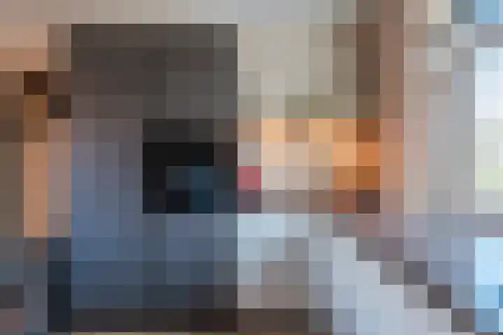 Breelantsoort 4 Broek op Langedijk thumbnail 26