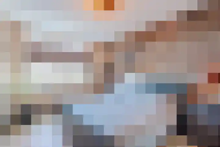 Breelantsoort 4 Broek op Langedijk thumbnail 29