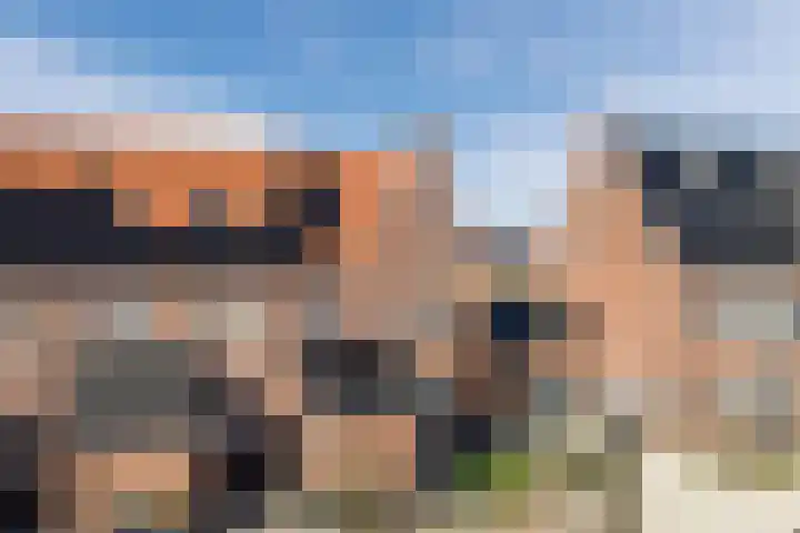 Breelantsoort 4 Broek op Langedijk thumbnail 5